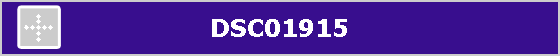 DSC01915