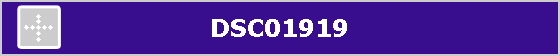 DSC01919