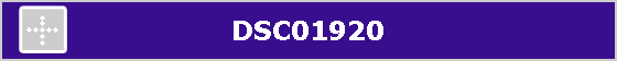 DSC01920