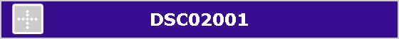 DSC02001
