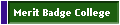 Merit Badge College