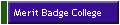 Merit Badge College