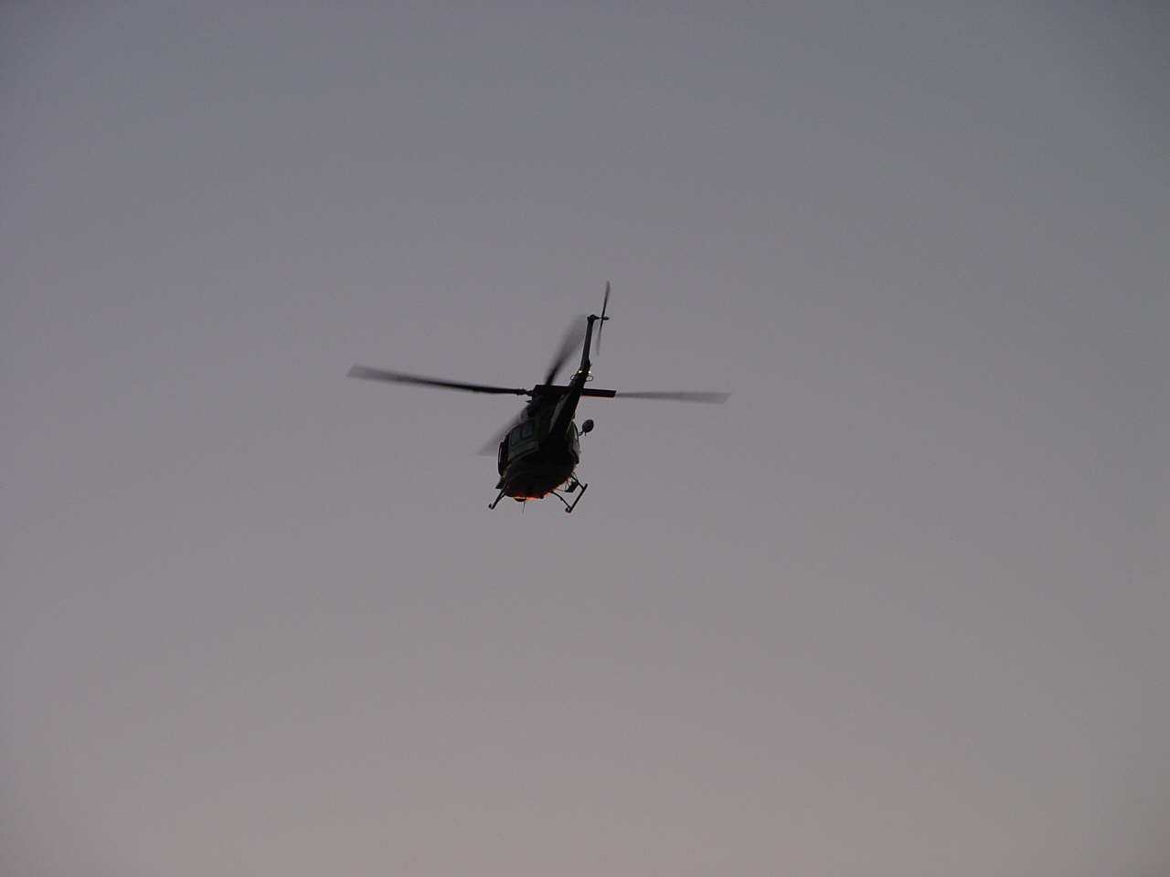 DSC01890