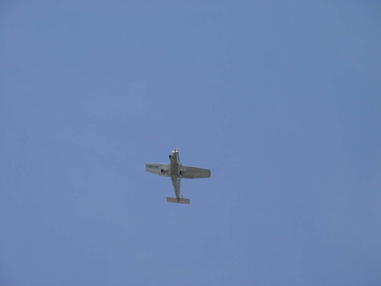 DSC01923