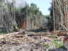 DSC01929