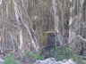 DSC01935