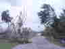 DSC04187