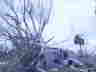 DSC04188