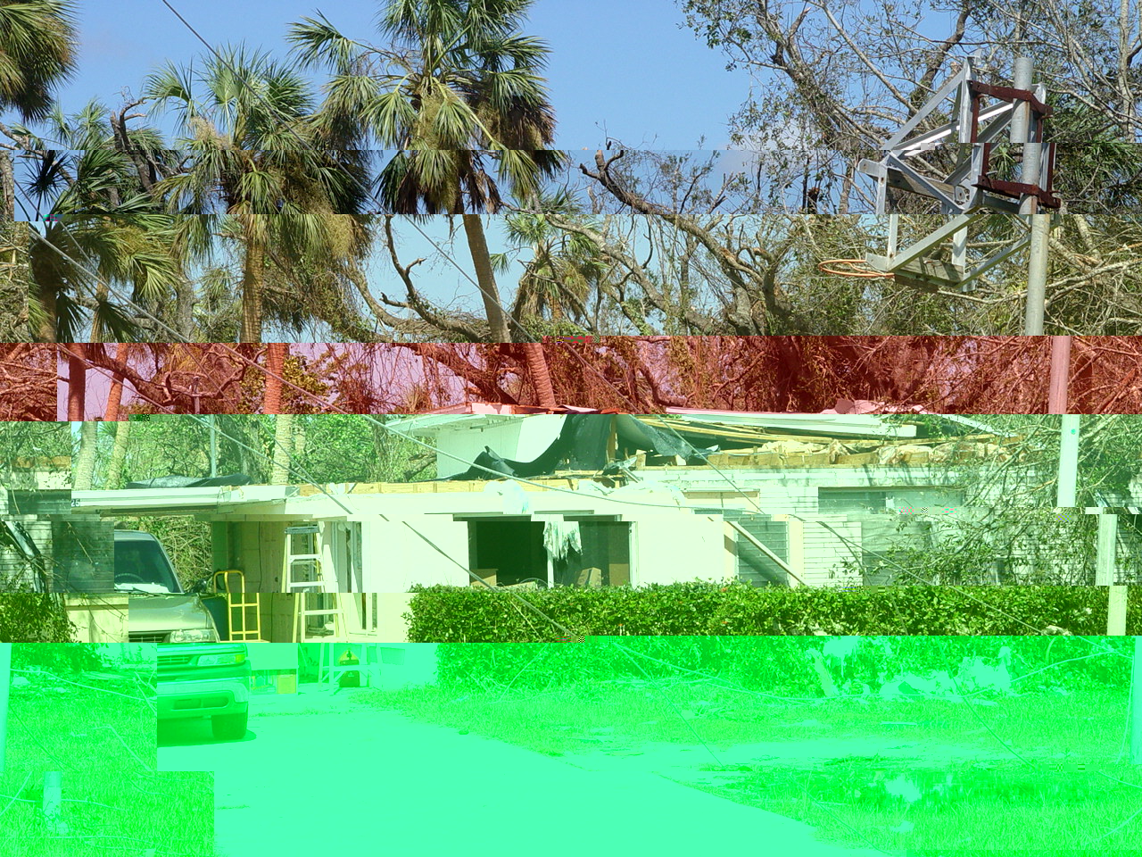 DSC04219